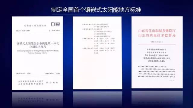山東龍普太陽能股份有限公司，簡稱“龍普股份”